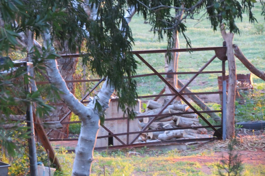 Bentwood Olive Grove Accommodation Greenough Rom bilde